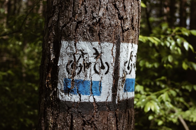 Mazurska Pętla Rowerowa Mikołajki